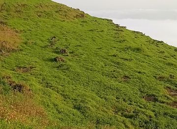 oman/dhofar-region/landmark/atilat-sifam