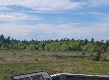 pennsylvania/laurel-highlands/landmark/forbes-state-forest-spruce-flats-bog-and-wildlife-area