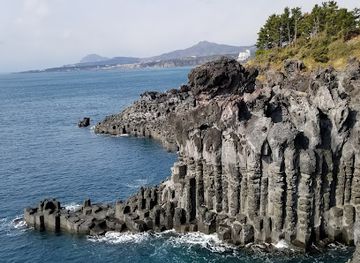 south-korea/jeju-island/landmark/bijarim-forest