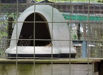 florida/gainesville/landmark/carson-springs-wildlife-conservation-foundation