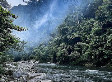 indonesia/bukit-lawang/landmark/sumatra-adventure-holidays