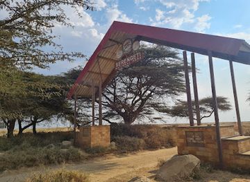 tanzania/southern-highlands/landmark/serengeti-national-park