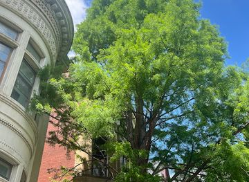 kentucky/louisville/landmark/asia-institute-crane-house