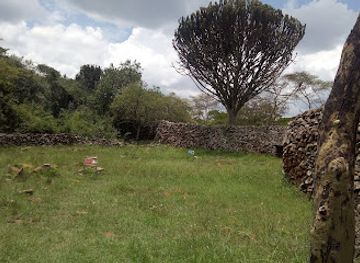 kenya/lake-victoria/landmark/thimlich-ohinga-historic-site