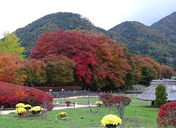 japan/yamanashi/landmark/lake-kawaguchi-maple-corridor