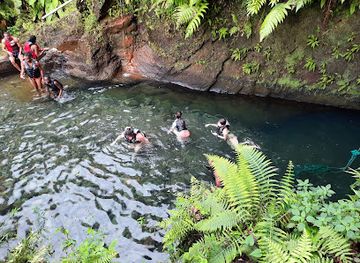 dominica/emerald-pool/landmark/the-dominica-museum