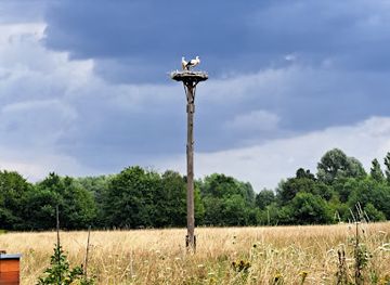 germany/hannover/bothfeld/landmark/laher-wiesen