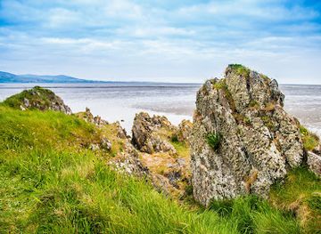 ireland/county-louth/landmark/ladywell-shrine