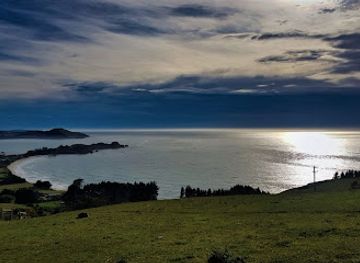 new-zealand/otago/landmark/karitane-beach