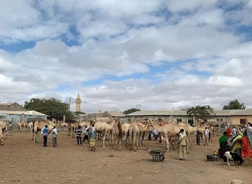 somalia/woqooyi-galbeed/landmark/livestock-market