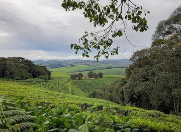 burundi/rutana/landmark/kibira-national-park