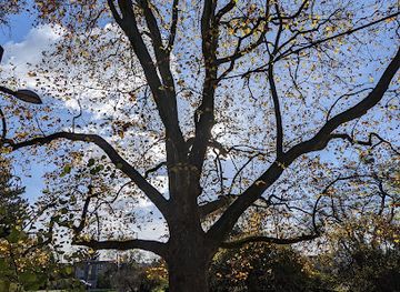 austria/vienna/penzing/landmark/steinhofer-park