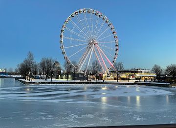 canada/montreal/landmark/3d-j-mtl-sign