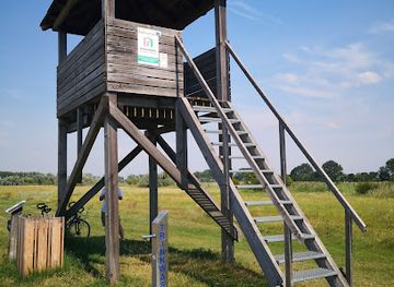 austria/lake-neusiedl/landmark/aussichtsturm