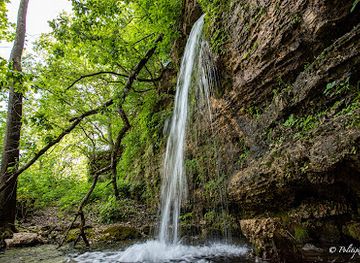 missouri/mark-twain-national-forest/landmark/falling-spring-mill