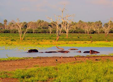 tanzania/selous-game-reserve/landmark/mtemere-gate-selous-game-reseve