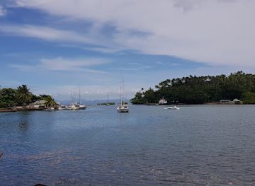 fiji/viti-levu/landmark/wainibuka-river