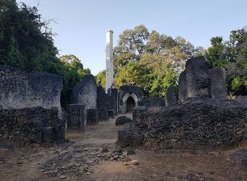 kenya/central-highlands/landmark/mnarani-ruins