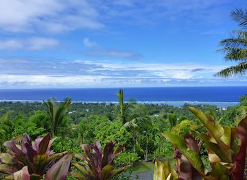 cook-islands/atiu/landmark/highland-paradise