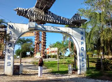 colombia/orinoquia/landmark/tematico-hacienda-napoles-park