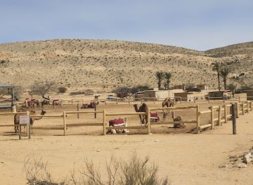 israel/negev/landmark/camel-ranch