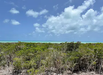 Flamingo Pond Lookout