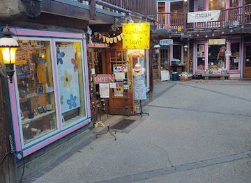 colorado/breckenridge/landmark/wandering-daisy