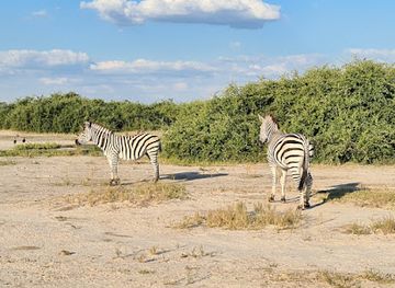 botswana/kgalagadi-transfrontier-park/landmark/chobe-national-park