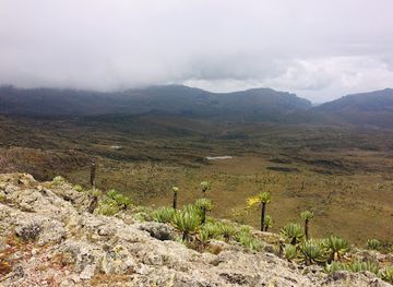 uganda/mount-elgon-national-park/landmark/mount-elgon-national-park-budadiri-office