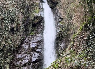 turkiye/trabzon/arakli/landmark/arakli-belediyesi
