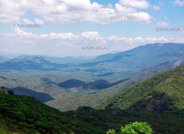 malawi/zomba-plateau/landmark/nyika-plateau