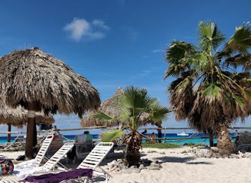 curacao/mambo-beach/landmark/mermaid-boat-trips-curacao