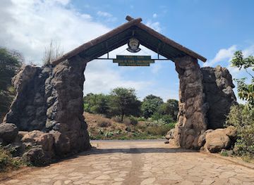 tanzania/central-zone/landmark/lake-manyara-national-park