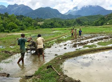 laos/golden-triangle/landmark/yensabai-organic-farm