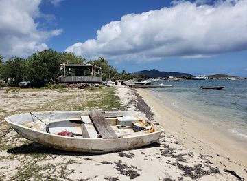 british-virgin-islands/beef-island/landmark/loose-mongoose