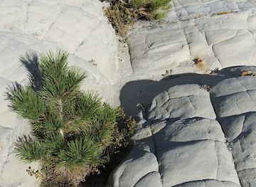 wyoming/converse-county/landmark/glenrock-deer-creek-museum