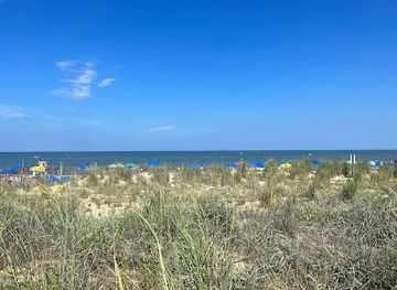 delaware/rehoboth-beach/landmark/poodle-beach