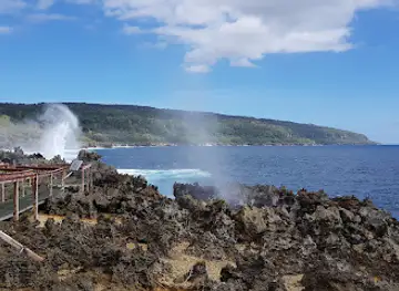 The Blowholes