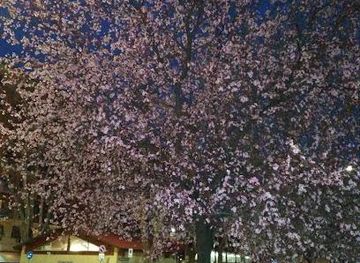 vatican-city/vatican-necropolis/landmark/piazza-dei-condottieri