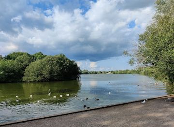 united-kingdom/berkshire/landmark/dinton-pastures-country-park