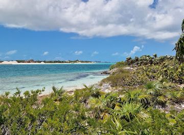 turks-and-caicos-islands/west-caicos/landmark/mangrove-cay