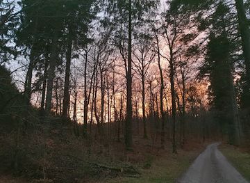 denmark/rold-skov/landmark/midt-inde-i-rold-skov