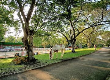 singapore/pasir-ris/landmark/gallop-stable-pasir-ris-car-park-c