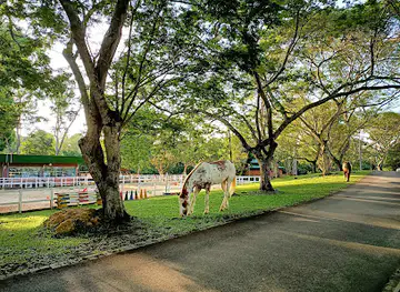 Gallop Stable @ Pasir Ris Car Park C