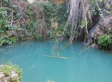 cyprus/adonis-baths-waterfalls/landmark/paphos-forest