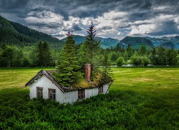 norway/hemsedal/landmark/old-house-with-trees-on-roof