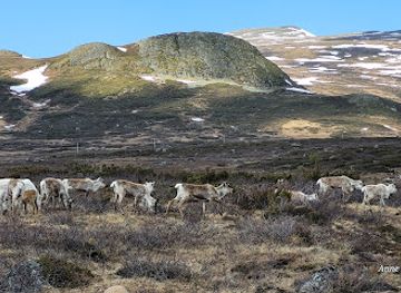 norway/jotunheimen-national-park/landmark/jotunheimvegen