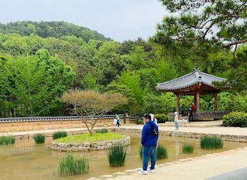 south-korea/daegu/landmark/daegu-arboretum