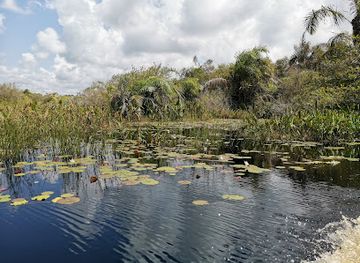 ghana/wli-nature-reserve/landmark/nzulezo-stilt-village-tour