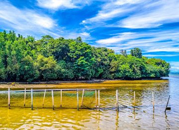 philippines/boracay/landmark/lugutan-mangrove-park